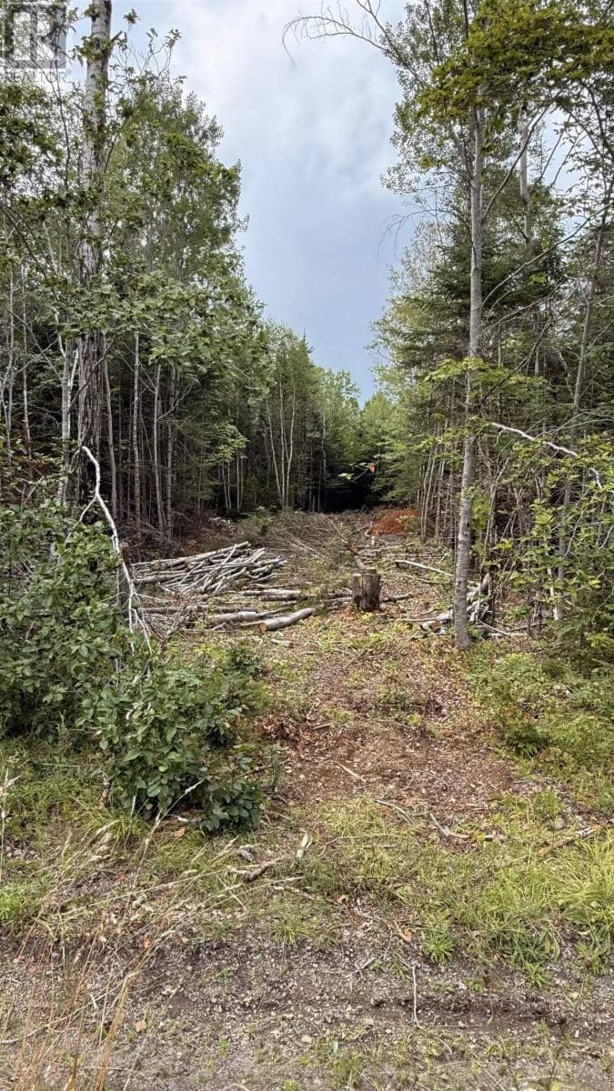 Lot S-2 Miner Meadow Road — photo 4 of 4