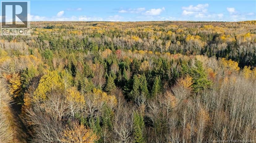 Riverfront Lot 4 Coates Mills North Road, Sainte-Marie-De-Kent, photo 8