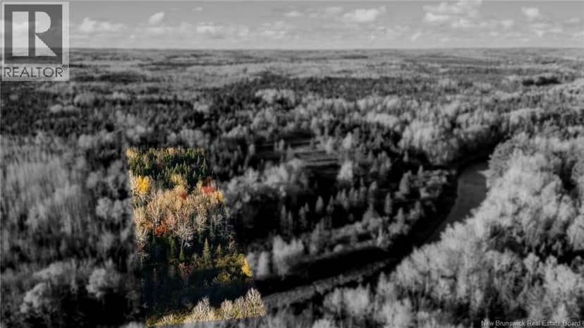 Riverfront Lot 2 Coates Mills North Road — photo 12 of 40