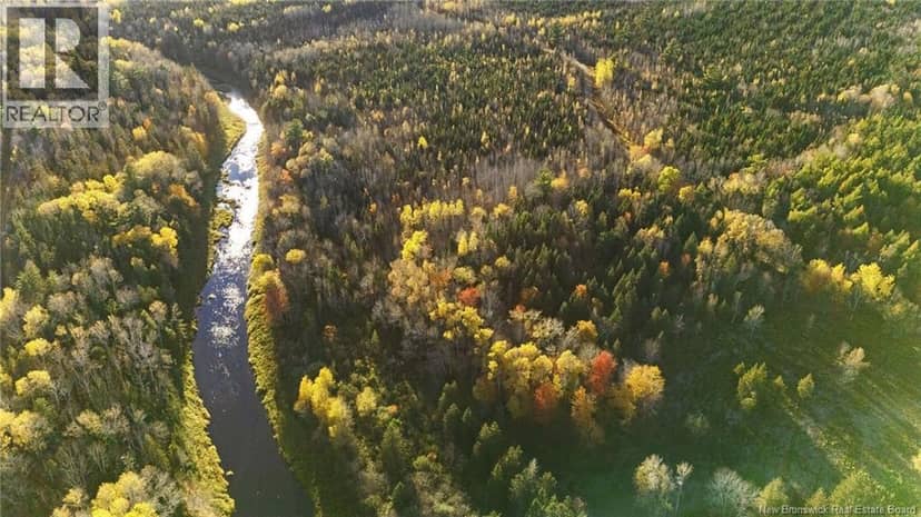 Riverfront Lot 2 Coates Mills North Road — photo 32 of 40