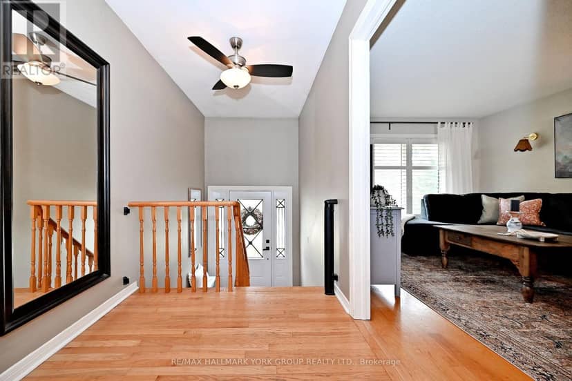 559 Haines Road, Newmarket, photo 6