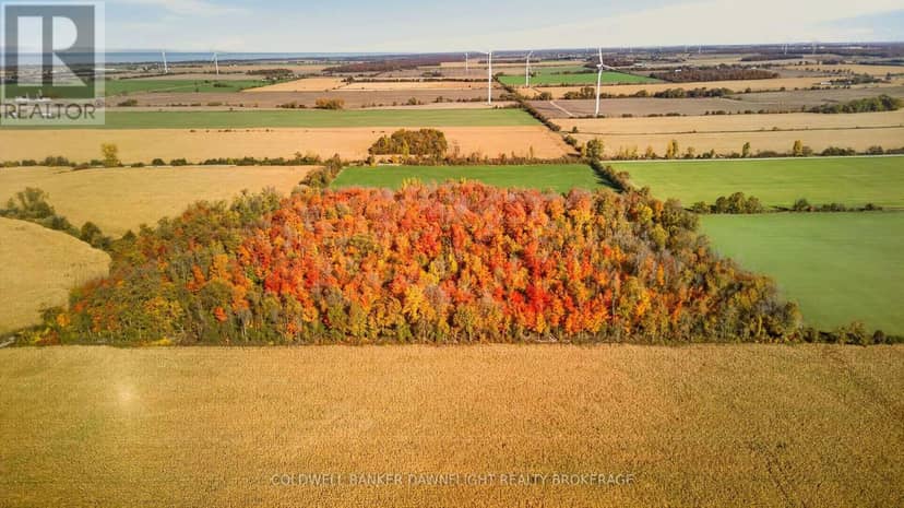 Part Lot 25 Danceland Road, Bluewater, photo 6