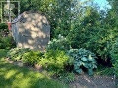 11 Peter Street — photo 38 of 40