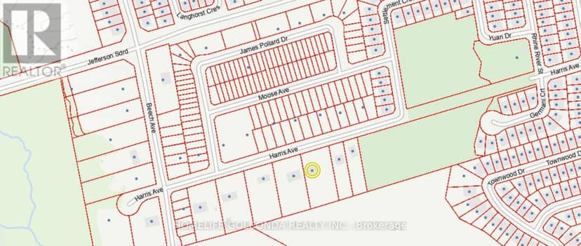 229 Harris Avenue, Richmond Hill, photo 3