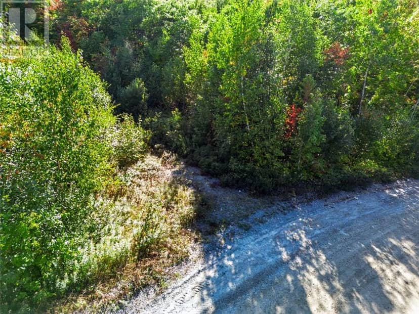 725 Pine Cone Road, Skead, photo 3