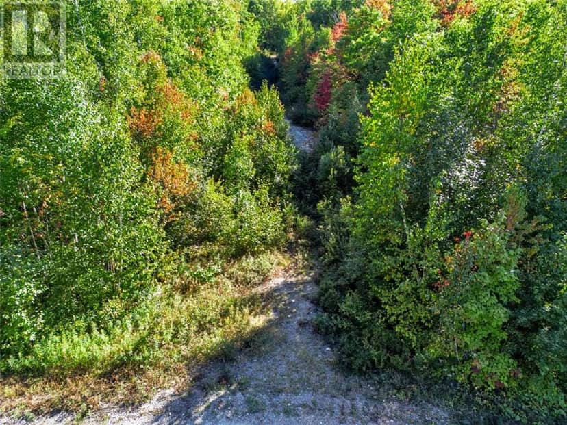 725 Pine Cone Road, Skead, photo 4