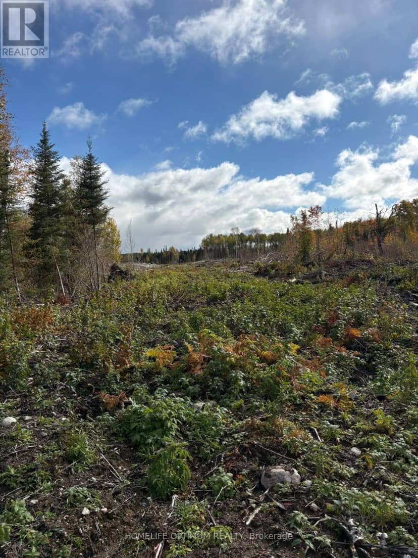 Pcl 3898 Bristol Township Mining Claim P. 8531, Timmins