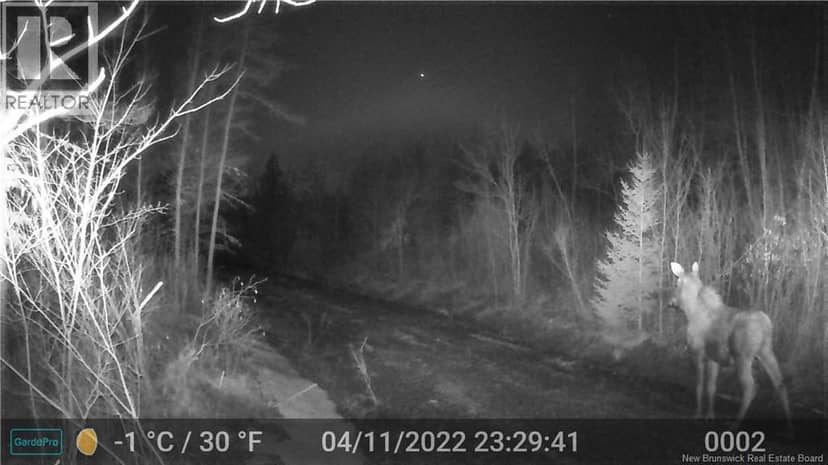 3457 Route 490 — photo 34 of 40