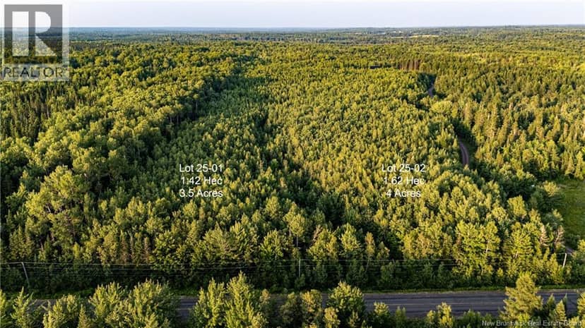 Lot 25-01 Route 490 — photo 2 of 25