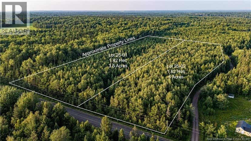 Lot 25-01 Route 490 — photo 7 of 25