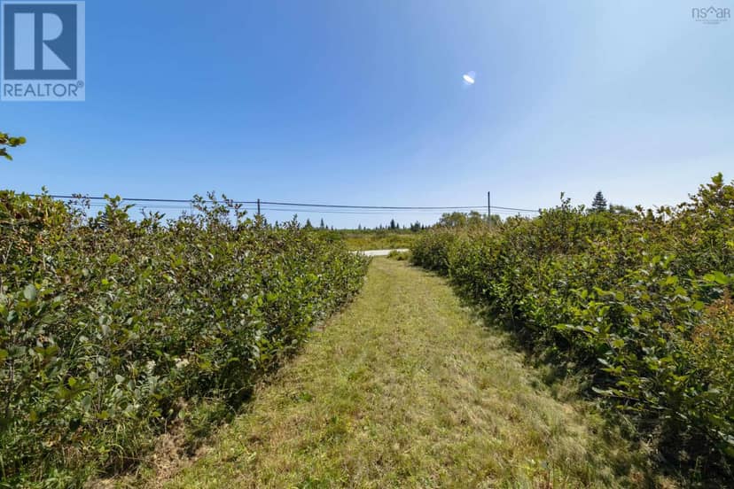 Lot 2, Highway 1 — photo 19 of 23