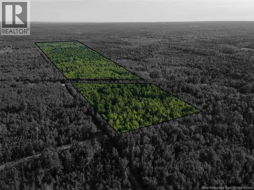 Lot Brown Road, Richibucto