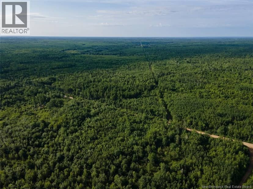 Lot Brown Road, Richibucto, photo 5