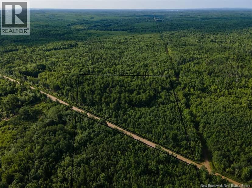 Lot Brown Road, Richibucto, photo 6