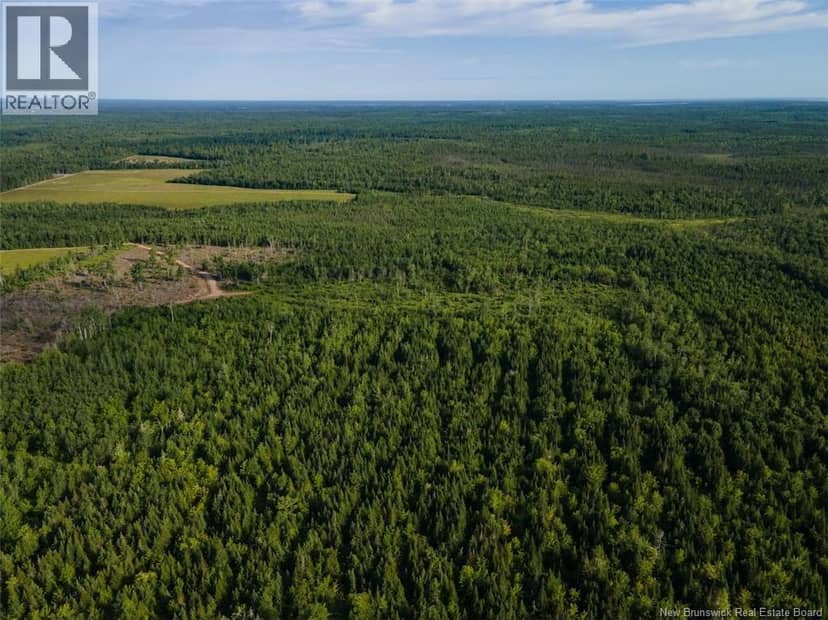 Lot Brown Road, Richibucto, photo 7