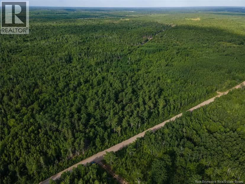 Lot Brown Road, Richibucto, photo 8