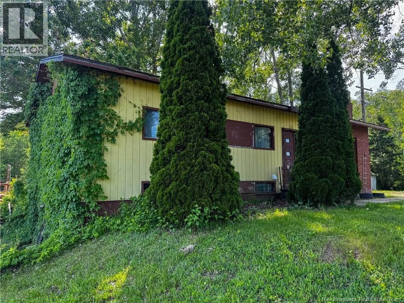 5 Green Belt — photo 2 of 39