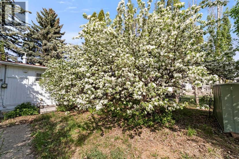 4911 54 Avenue, Viking, photo 5