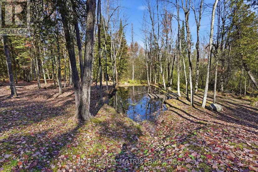 0000 Sandy Hill Road — photo 13 of 25