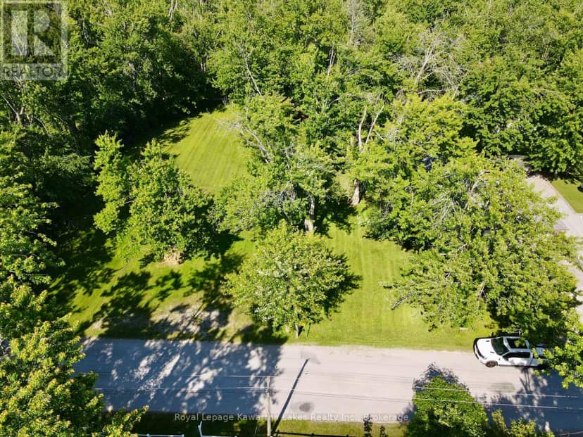 2636+ Lakeshore Drive — photo 39 of 40