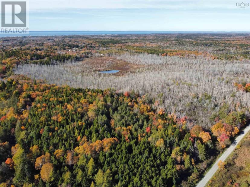 Lot 101 Highway — photo 2 of 4