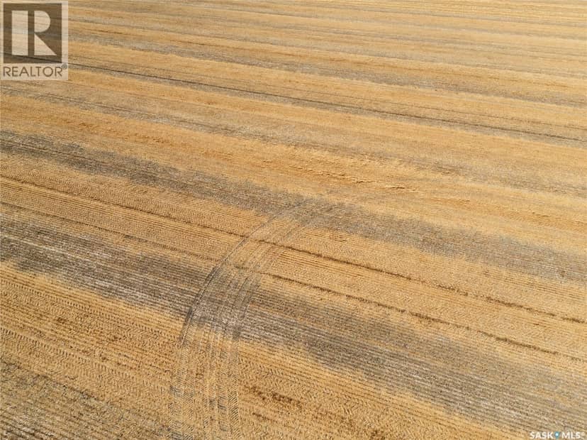 305 Acres - Sedley — photo 6 of 12