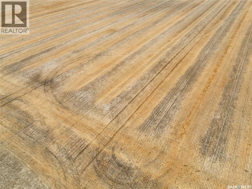 305 Acres - Sedley — photo 5 of 12
