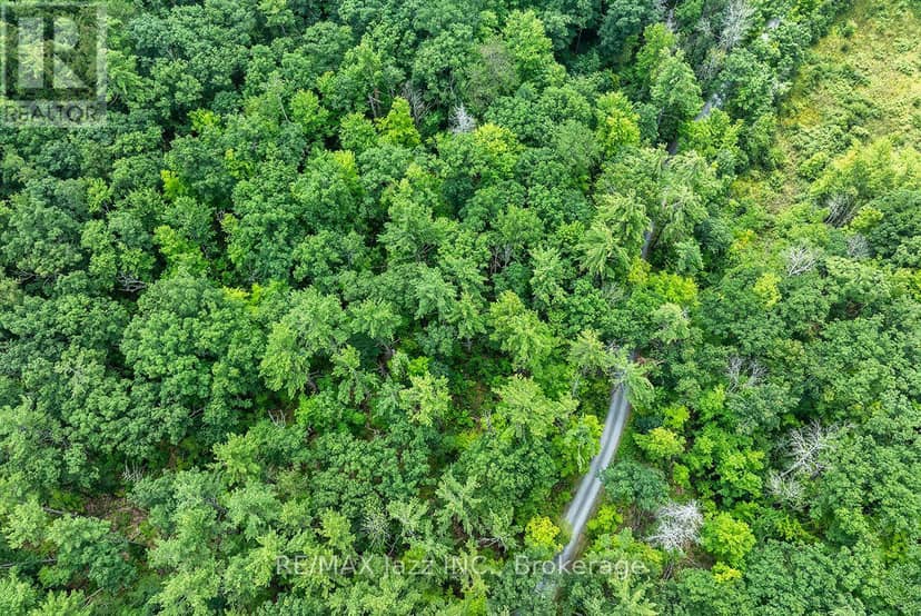 147 Fire Route 8 — photo 18 of 40