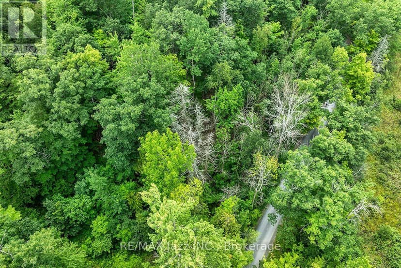 147 Fire Route 8, Havelock-Belmont-Methuen, photo 5