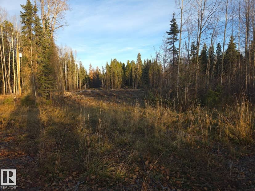 RR 85 Township Rd 482, Rural Brazeau County, photo 4