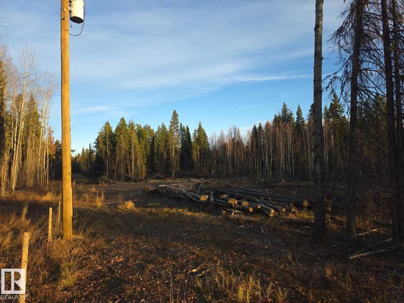 RR 85 Township Rd 482, Rural Brazeau County, photo 5