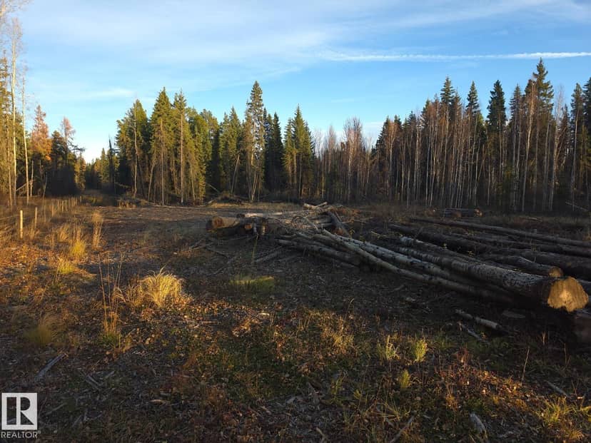 RR 85 Township Rd 482, Rural Brazeau County, photo 6