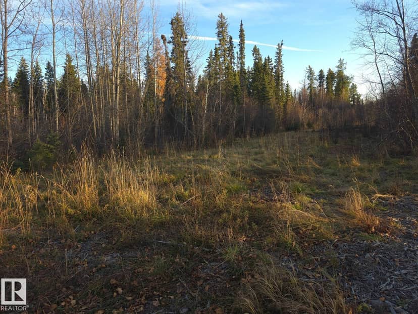 RR 85 Township Rd 482, Rural Brazeau County, photo 7