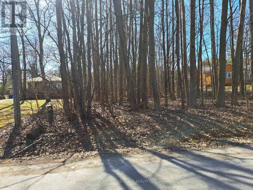 0 Poplar Drive — photo 1 of 4