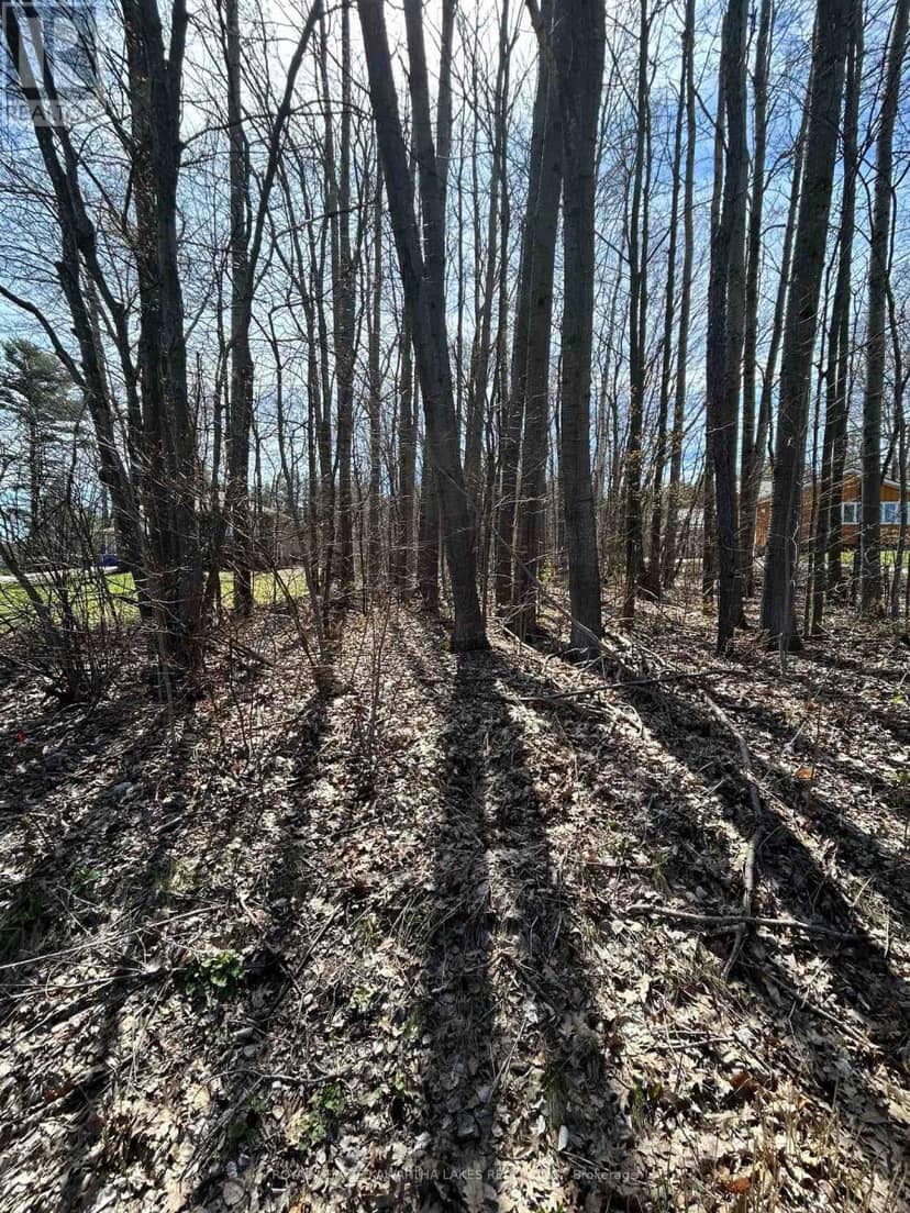 0 Poplar Drive — photo 2 of 4