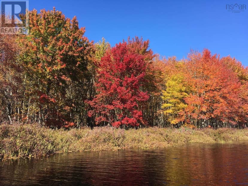 Back Lake Road, Upper Ohio, photo 8