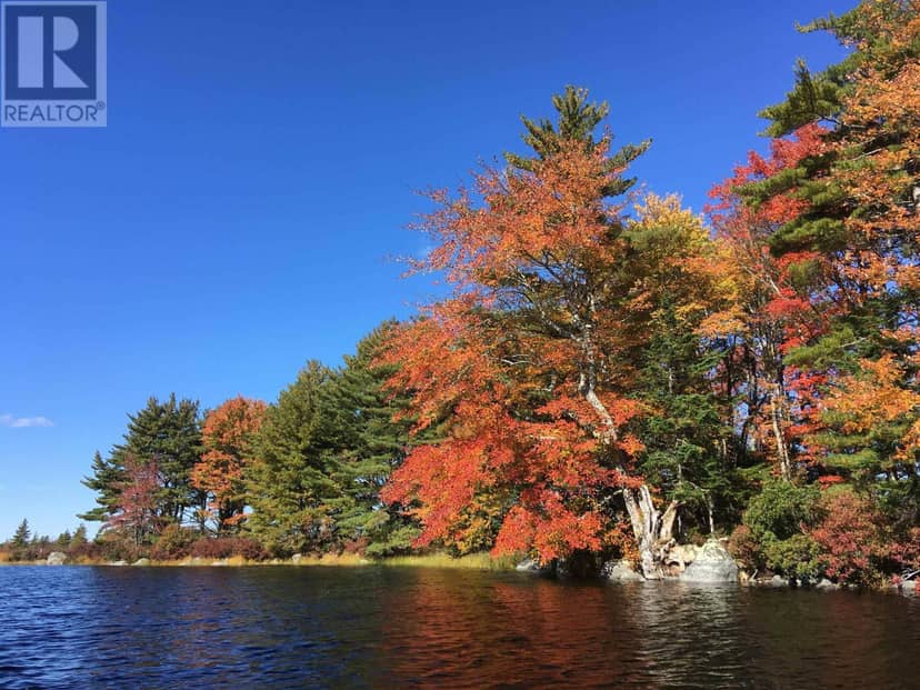 Back Lake Road, Upper Ohio, photo 5