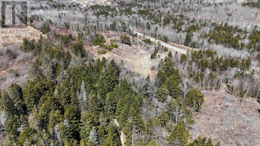 Lot 8 Marc Comeau Road — photo 11 of 13