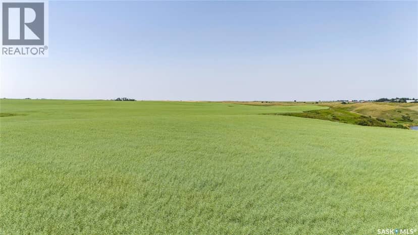 4.8 Quarters of Grainland Near Dilke, SK (Flavel) — photo 2 of 12