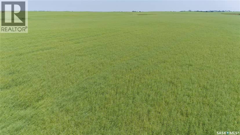 4.8 Quarters of Grainland Near Dilke, SK (Flavel) — photo 10 of 12