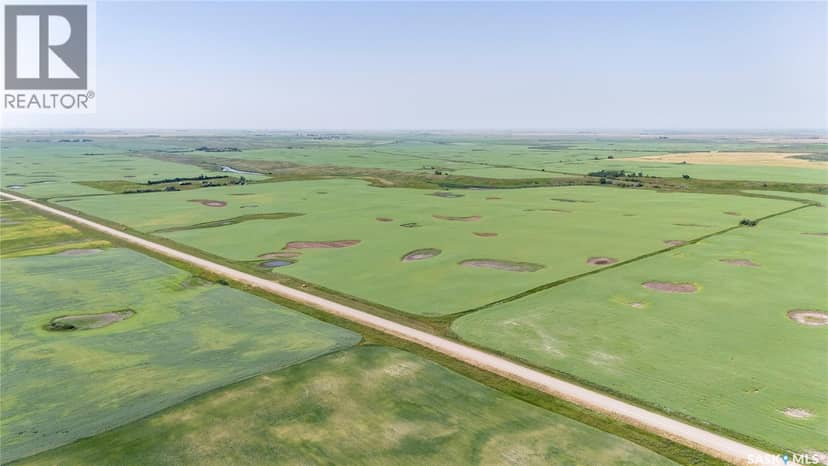 4.8 Quarters of Grainland Near Dilke, SK (Flavel) — photo 1 of 12