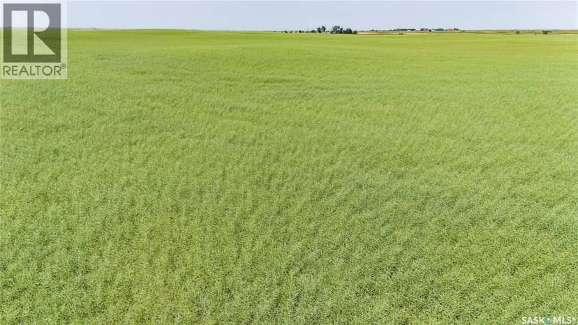4.8 Quarters of Grainland Near Dilke, SK (Flavel) — photo 4 of 12