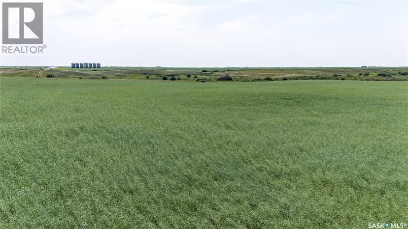 4.8 Quarters of Grainland Near Dilke, SK (Flavel) — photo 3 of 12