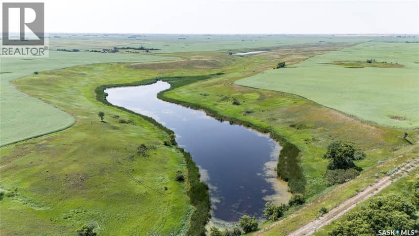 4.8 Quarters of Grainland Near Dilke, SK (Flavel) — photo 6 of 12