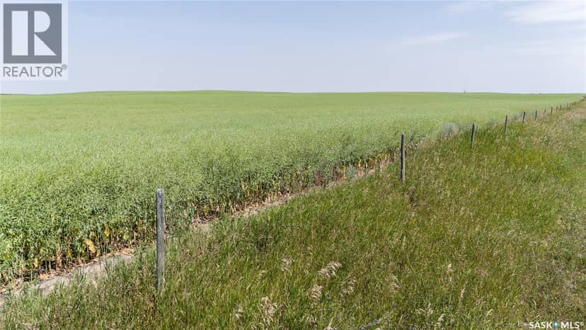 4.8 Quarters of Grainland Near Dilke, SK (Flavel) — photo 9 of 12