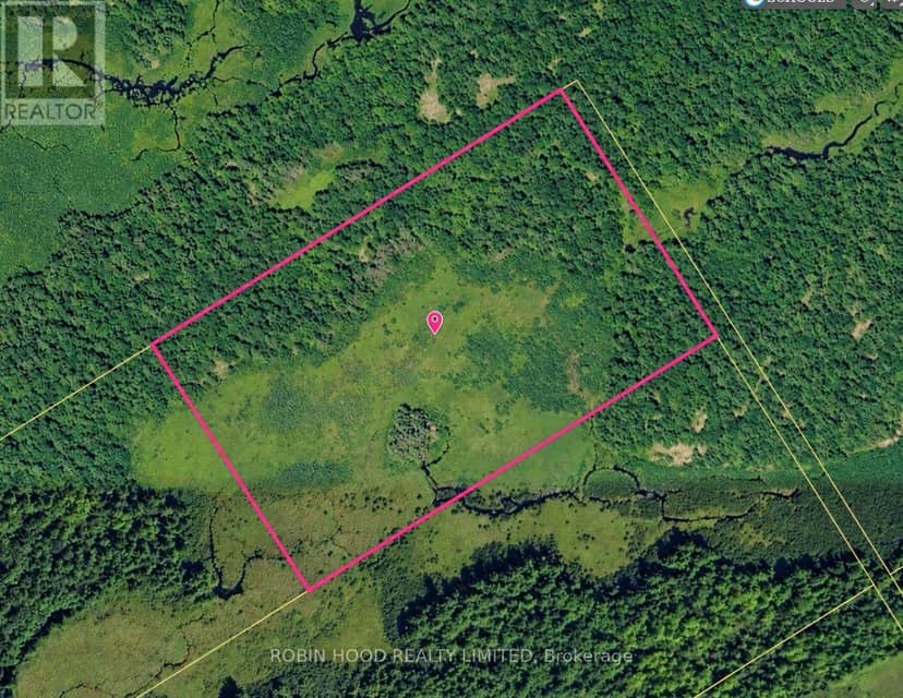 4501 Upper Big Chute Road, Severn, photo 7