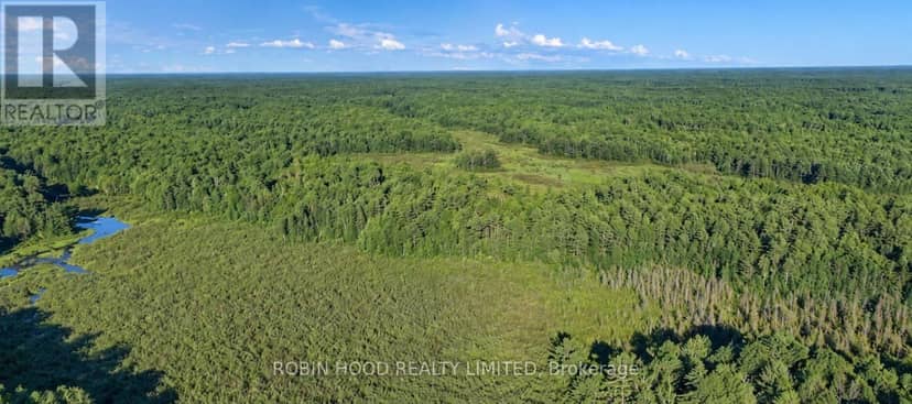 4501 Upper Big Chute Road, Severn, photo 6