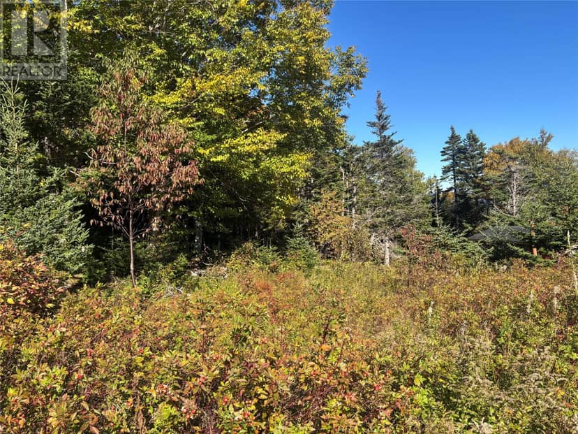 Lot 0 Pikes Road — photo 12 of 14