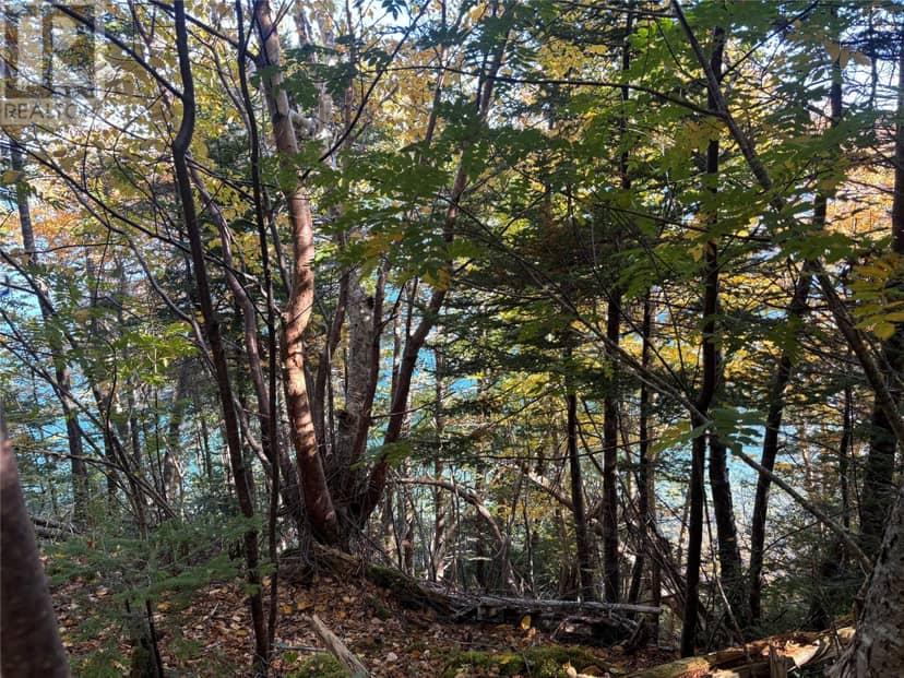 Lot 0 Pikes Road, Spread Eagle, photo 5