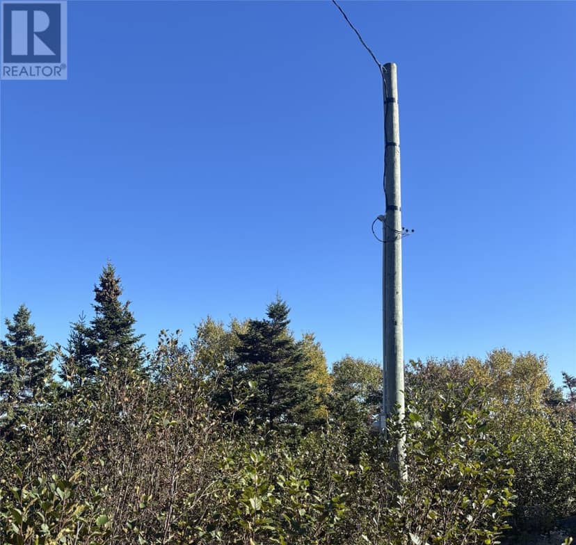 Lot 0 Pikes Road — photo 9 of 14